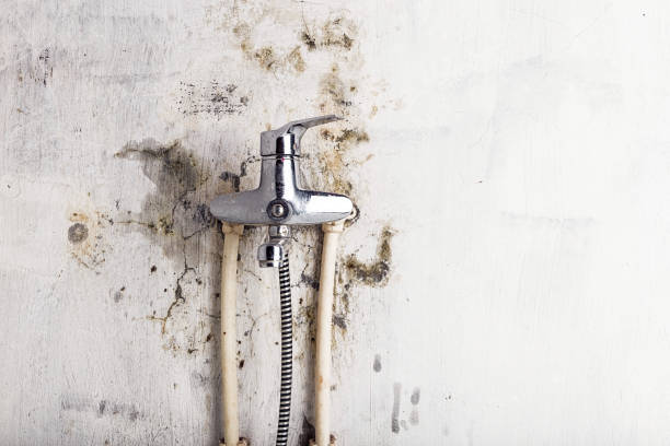 Best Mold Testing  in Americus, GA