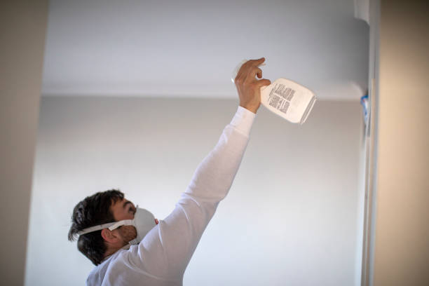 Best Mold Cleaning Services  in Americus, GA