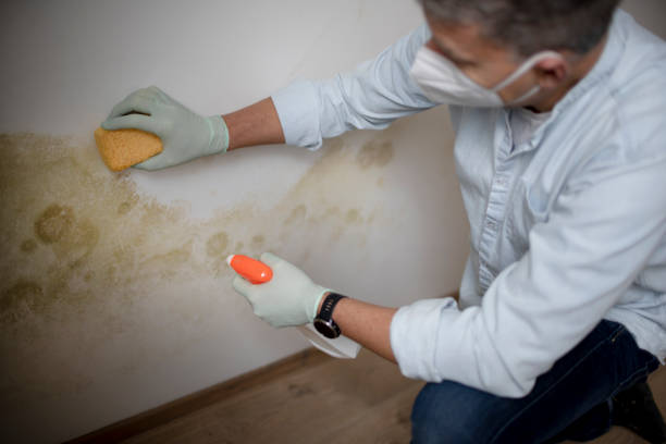Best Mold Damage Repair  in Americus, GA