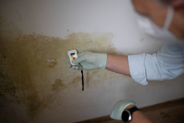 Best Local Mold Removal Service  in Americus, GA