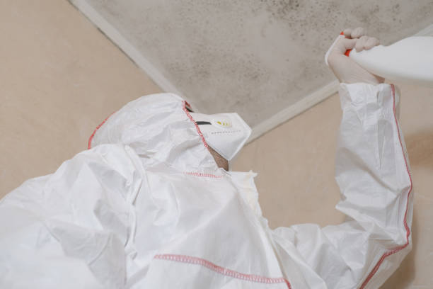 Best Commercial Mold Removal  in Americus, GA