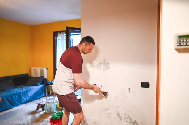 Best Certified Mold Removal  in Americus, GA
