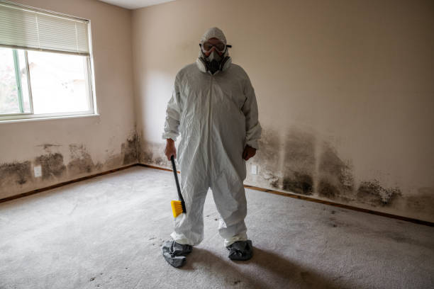Best Office Mold Removal Services  in Americus, GA